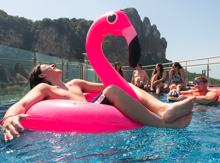 Krabi Hotel Pool Flamingo