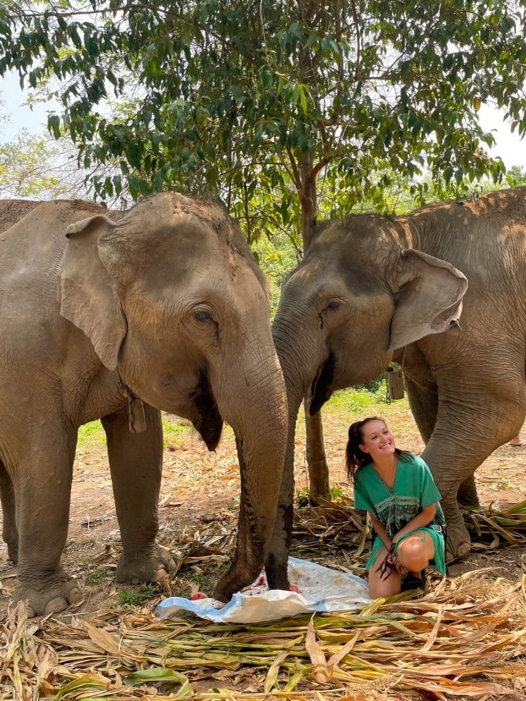 Girl with two elephants at a sactuary