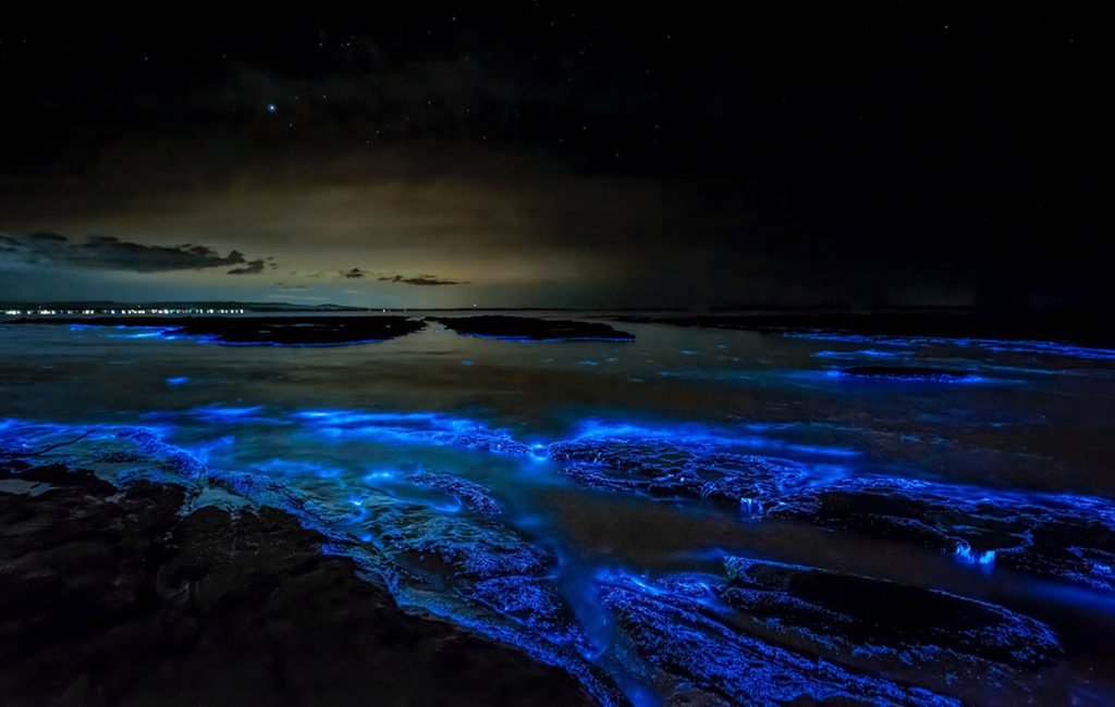 Majestic bioluminescent waves glowing blue along the rocky shores of Jervis Bay at night, under a star-studded sky.