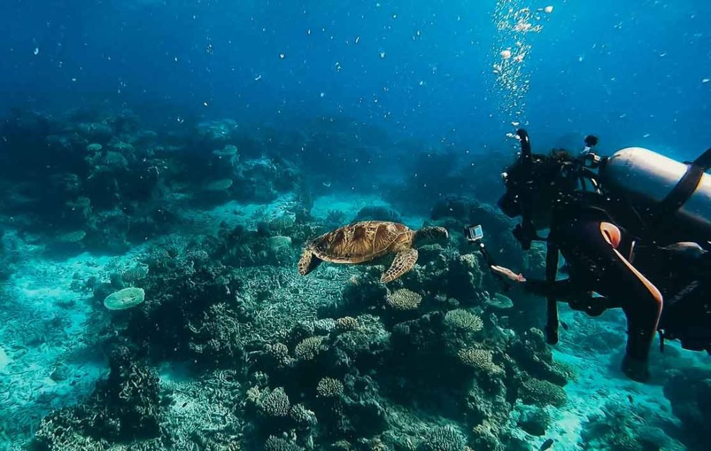 A sea turtle swimming near coral reefs with a diver in the background in clear blue underwater surroundings