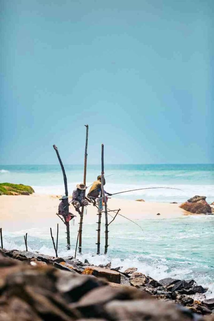 Traditional stilt fishermen perched on poles above the waves along the coast, showcasing a unique fishing method under a clear blue sky