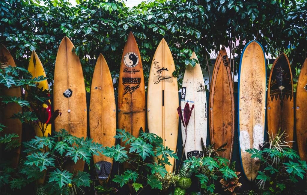 A collection of vintage surfboards leaning against a wall, surrounded by tropical plants, exhibiting a variety of designs.