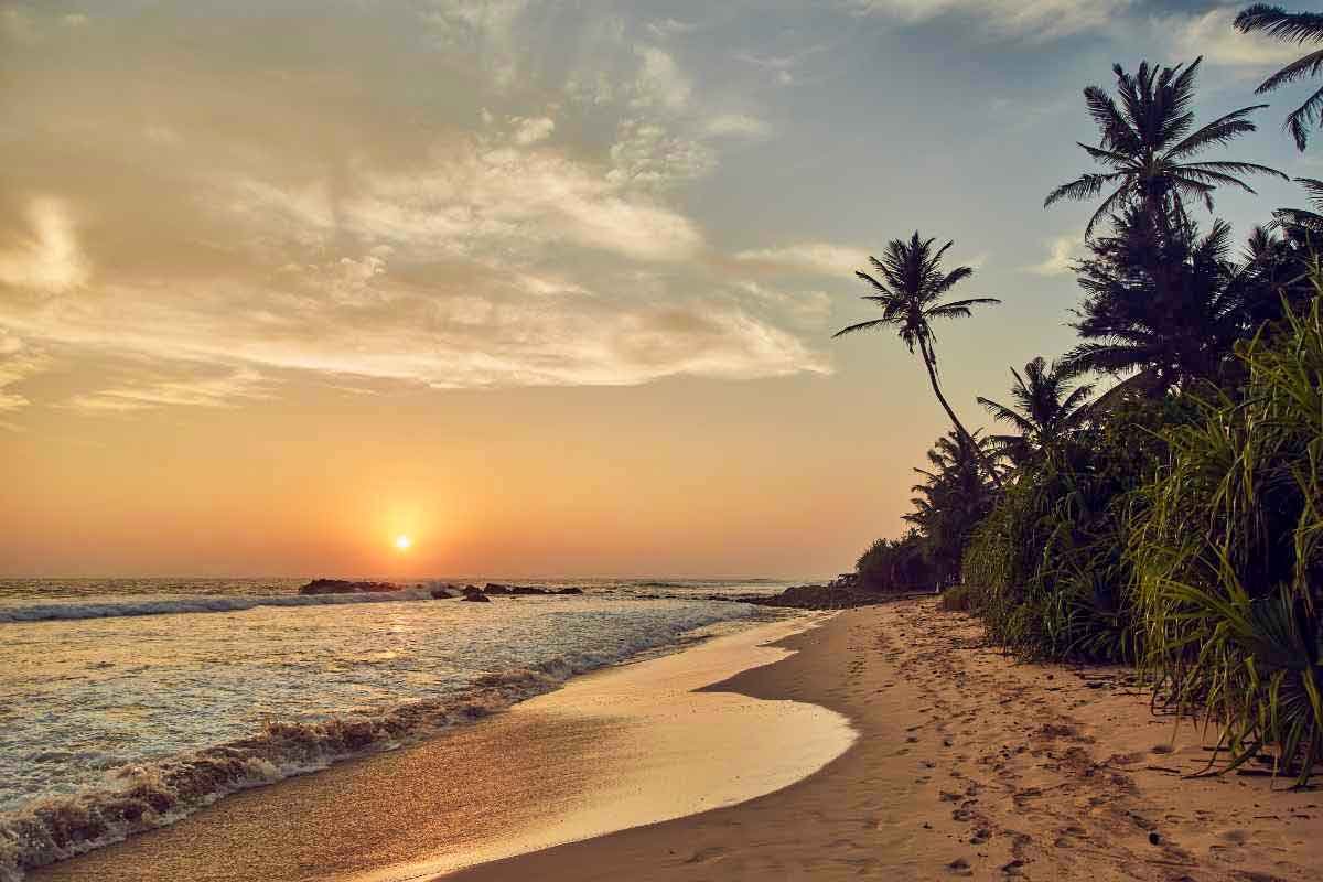 13 Best Things To Do In Weligama, Sri Lanka (2024)