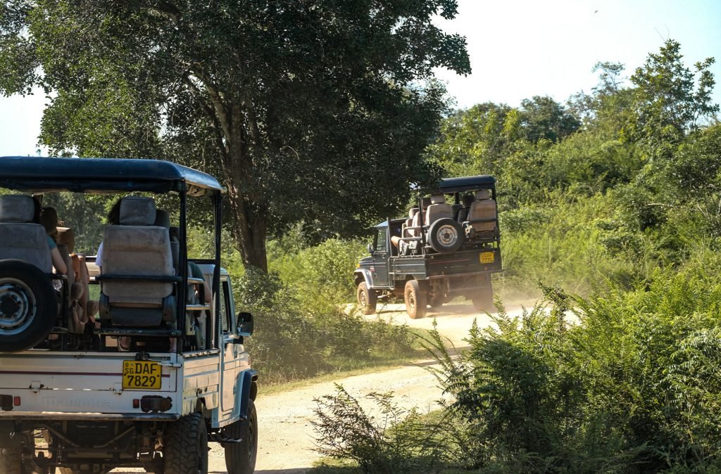 Safari vehicles driving on a dusty trail in a forest, filled with tourists observing the surrounding nature.
