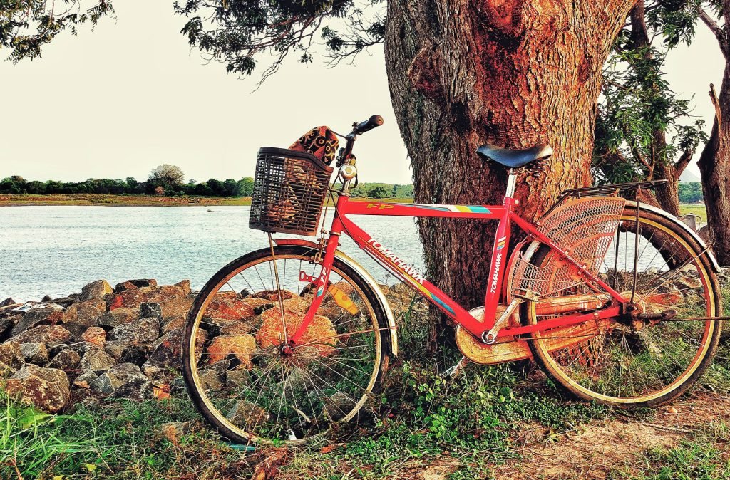 A vintage red bicycle with a wicker basket leans against a tree beside a peaceful river, with a rustic stone shore in the foreground