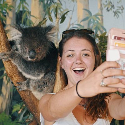 Get up close & personal with koalas & kangaroos 