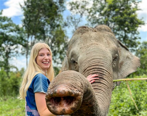 Share a special moment hand-feeding elephants